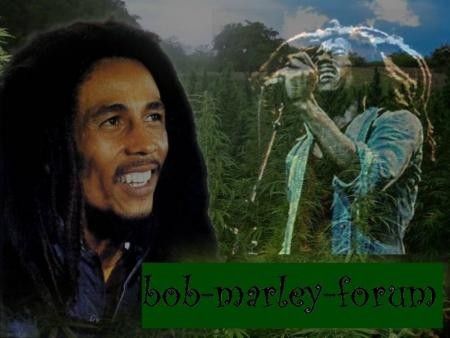 bob marley