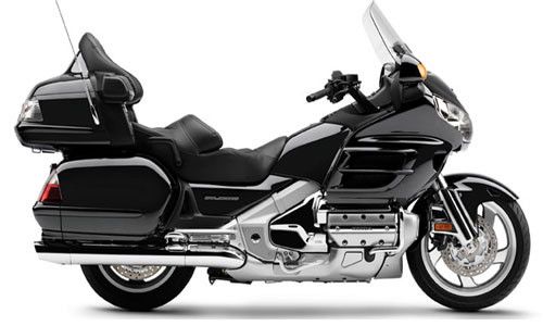 gold wing