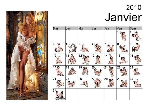 calendrier 2010 de vie