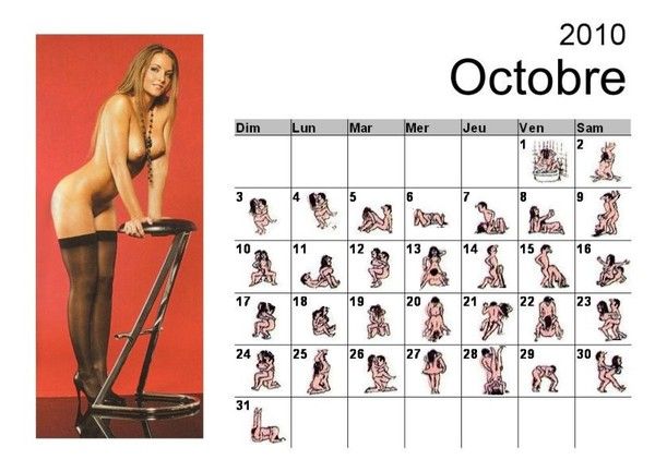 calendrier 2010 de vie