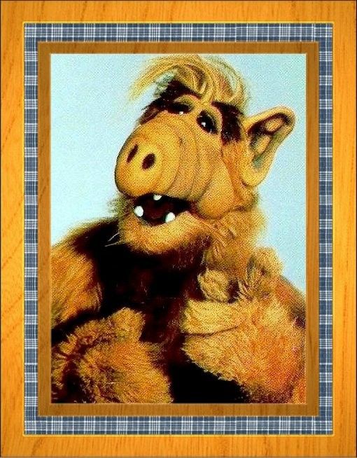 alf alf alf