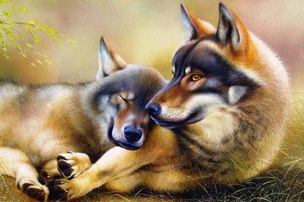 LOUPS