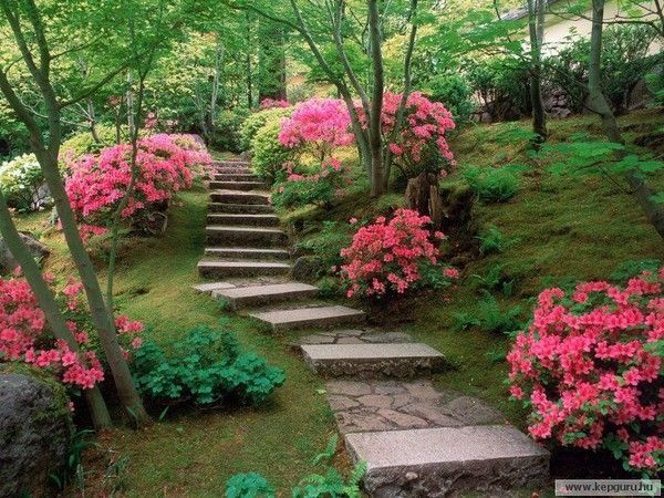 Jardin japonais