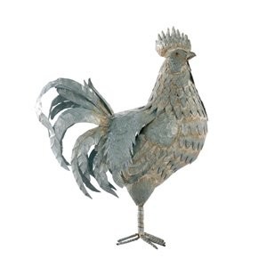 Coq 