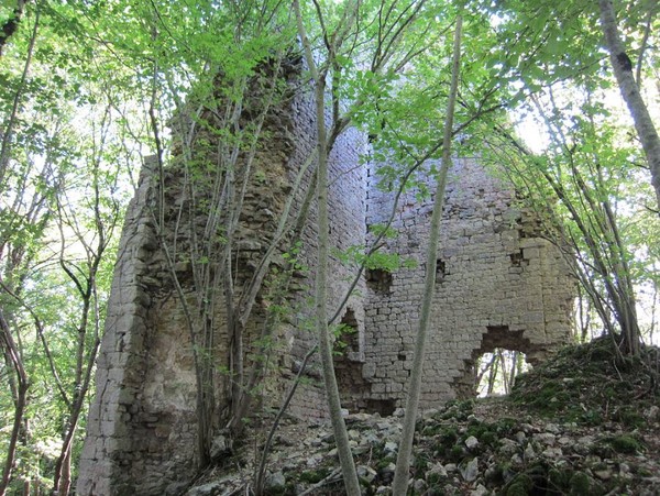 Chateau de Vaite (25) 01