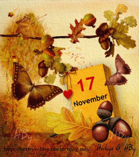 November / Novembre (10 au 17)