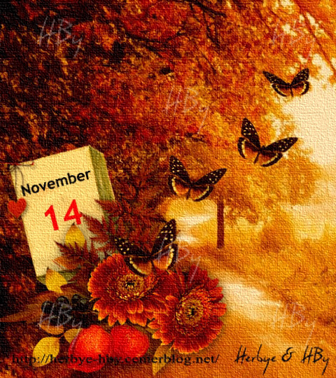 November / Novembre (10 au 14)