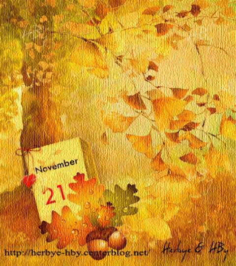 November / Novembre (20 au 21)