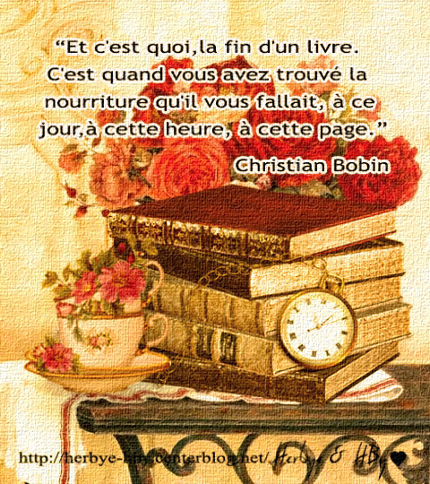 Jolies phrases 7: Les livres