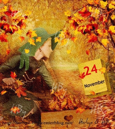 November / Novembre (20 au 24)