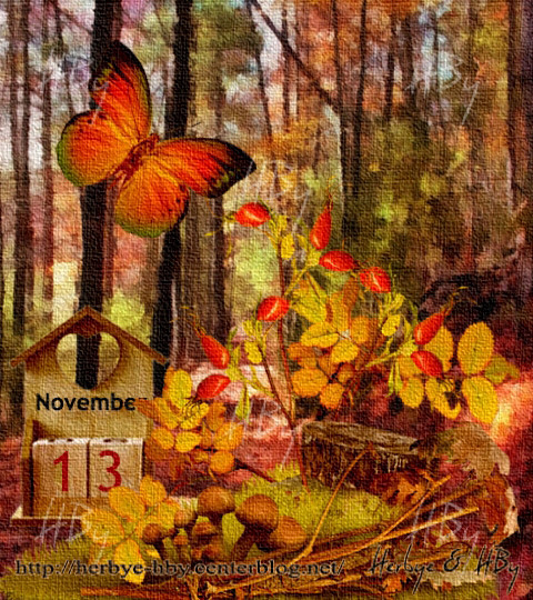 November / Novembre (10 au 13)