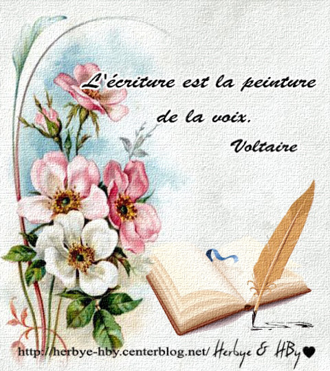 Jolies phrases 4 : Les livres