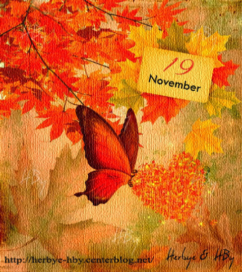 November / Novembre (10 au 19)