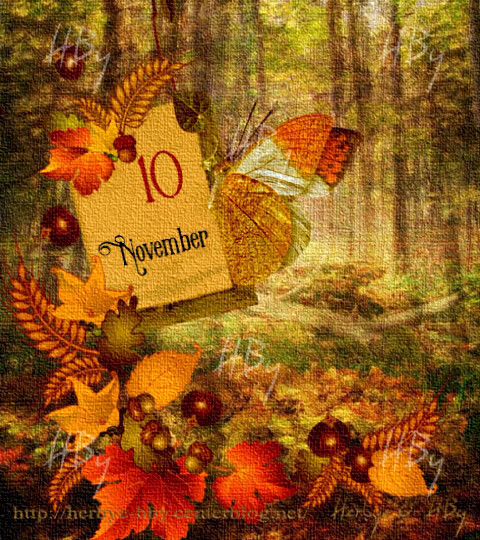 November / Novembre (10 au)