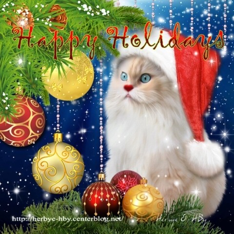 Happy Holidays (chat) (8)