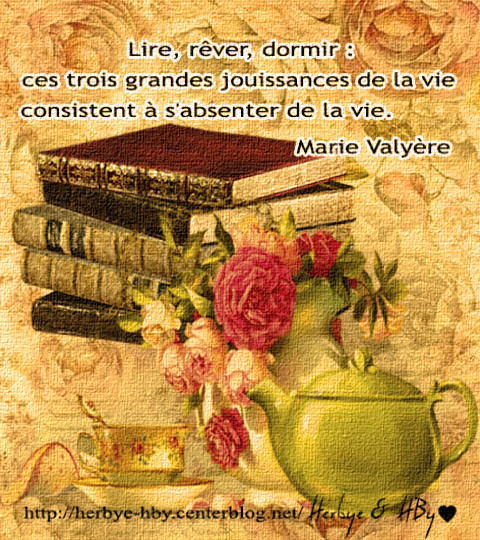 Jolies phrases 6 : Les livres