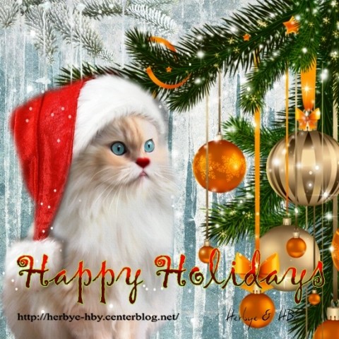 Happy Holidays (chat) (9)