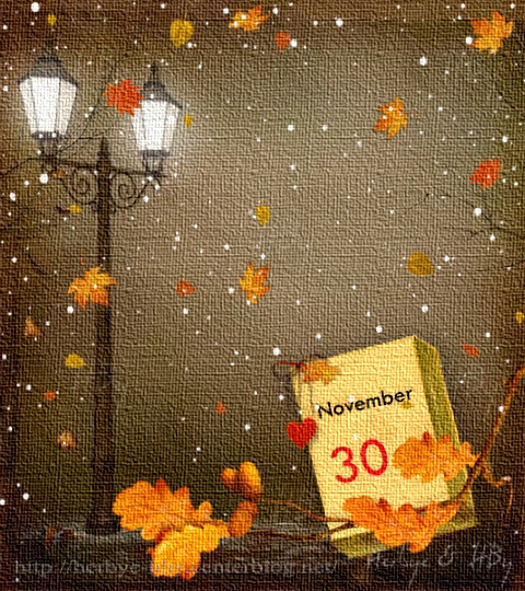 November / Novembre (29 au 30)