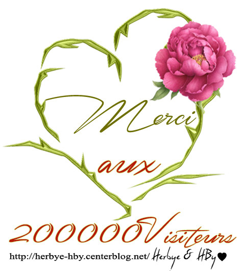 Merci aux 200 000 visiteurs