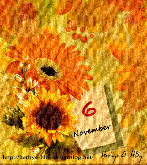 November / Novembre (1st au 6)