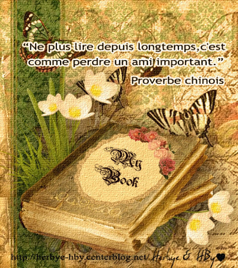 Jolies phrases 6 : Les livres