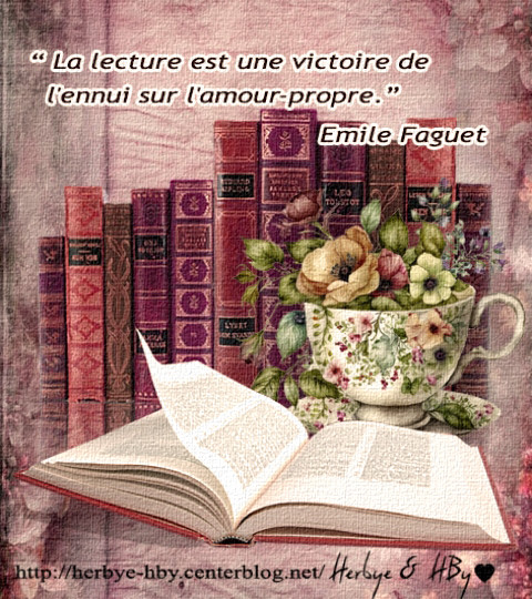 Jolies phrases 4 : Les livres