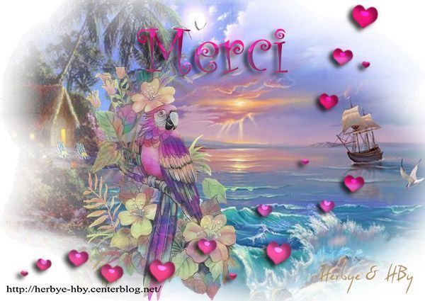 merci_10_12_2015_