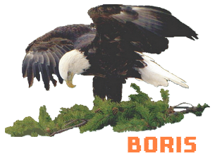 Boris.png