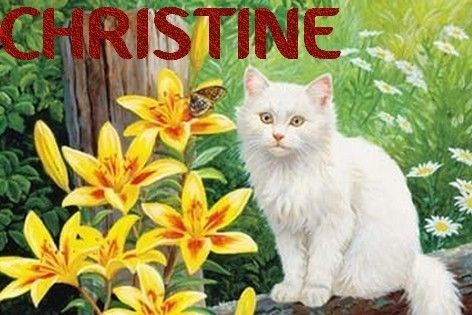 Christine-chatb2.jpg