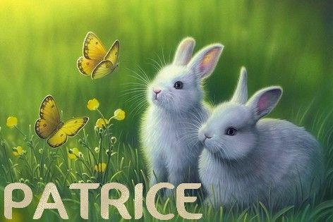 Patrice-lapin.jpg