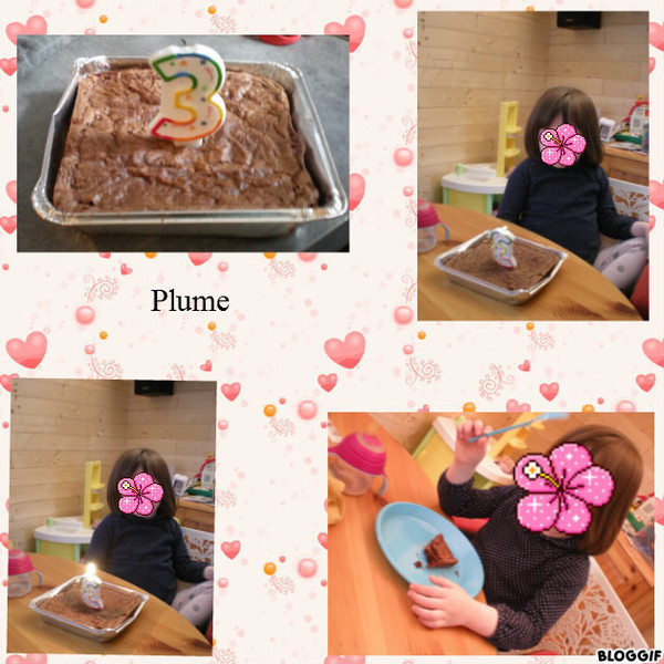 ANNIVERSAIRE  PLUME