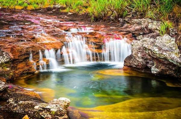 CANO - CRISTALES / COLOMBIE