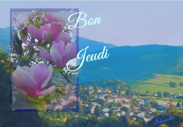 BON JEUDI AMI(ES) ET VISITEURS