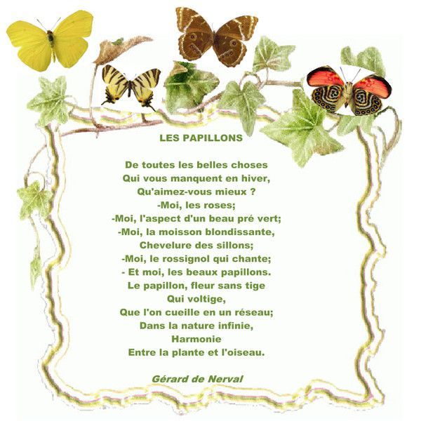 POEME DU JOUR " LES PAPILLONS " 