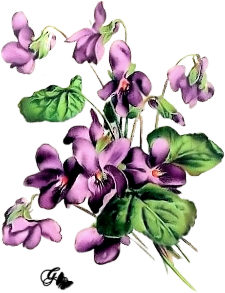 Fleur PNG