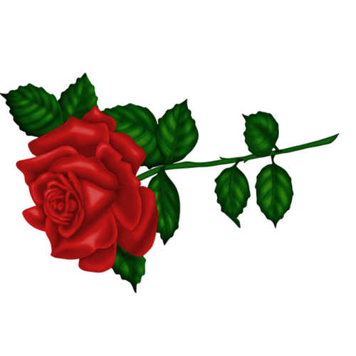 ROSE 2