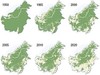 LA DÉFORESTATION À BORNEO DEPUIS 1950-BORNEO DEFORESTATION