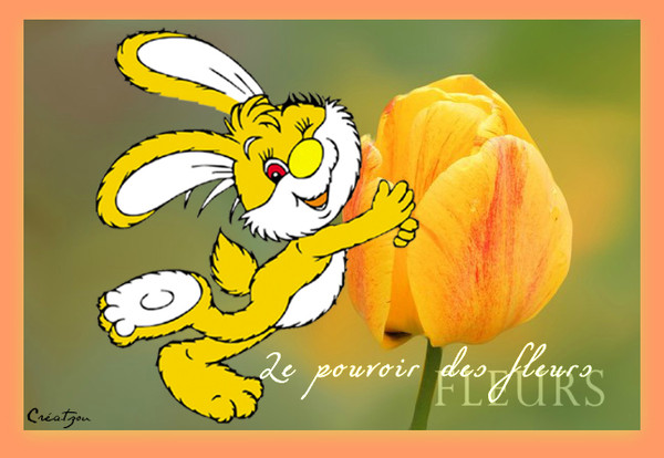 LE LAPIN ET LA TULIPE