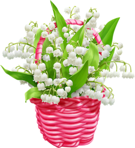 Panier de nmuguet