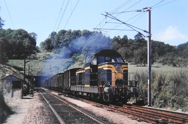 BB 66035 EN TETE D'UN TRAIN D'EAUX MINERALES.