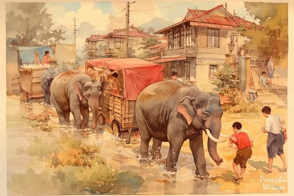 Éléphants 