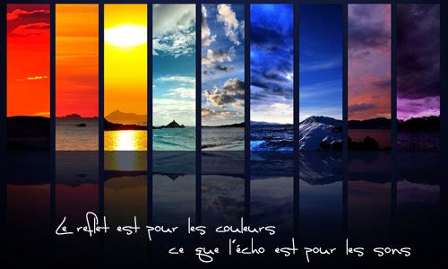 citation-couleur-longbull13.jpg