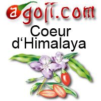 Goji antioxydant