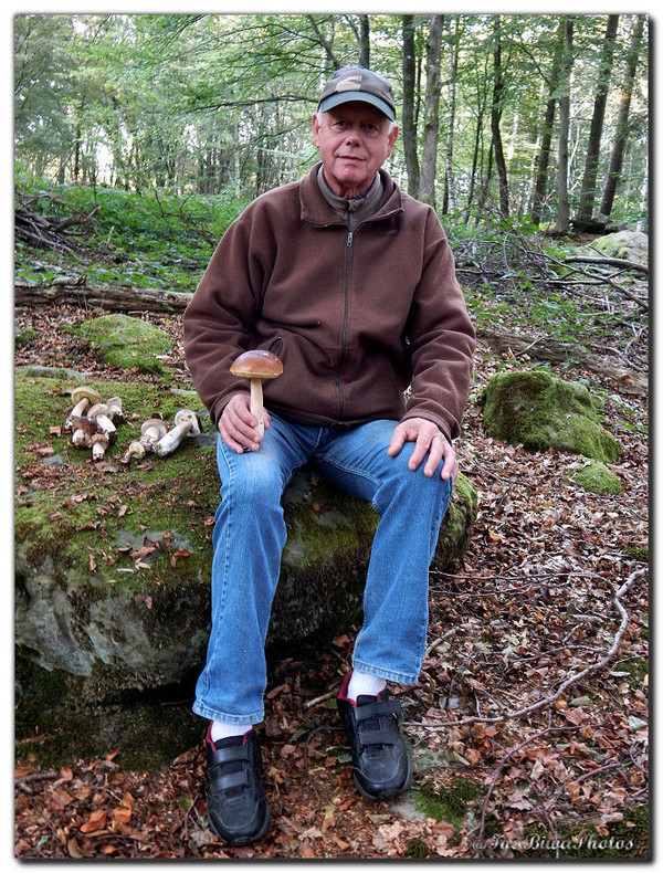 La Cueillette de Champignons de Michel