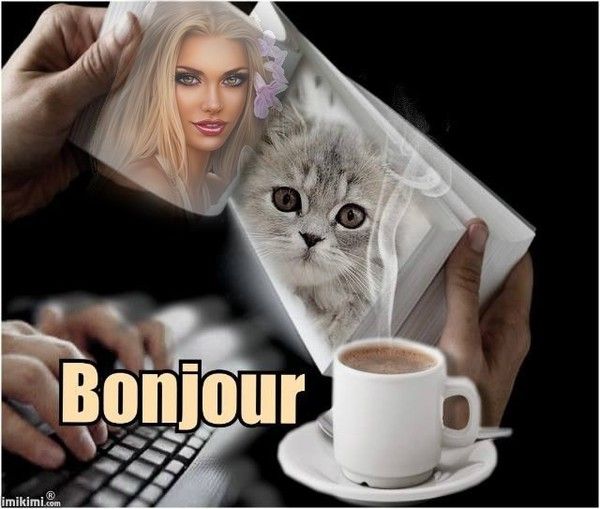 bonjour