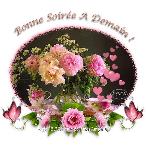 Bonne Sorée...♥