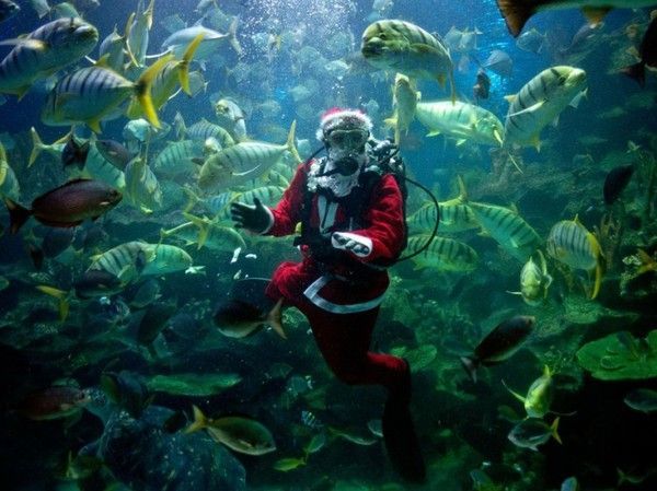 Sortez le père Noël de l'eau, il va se noyer!