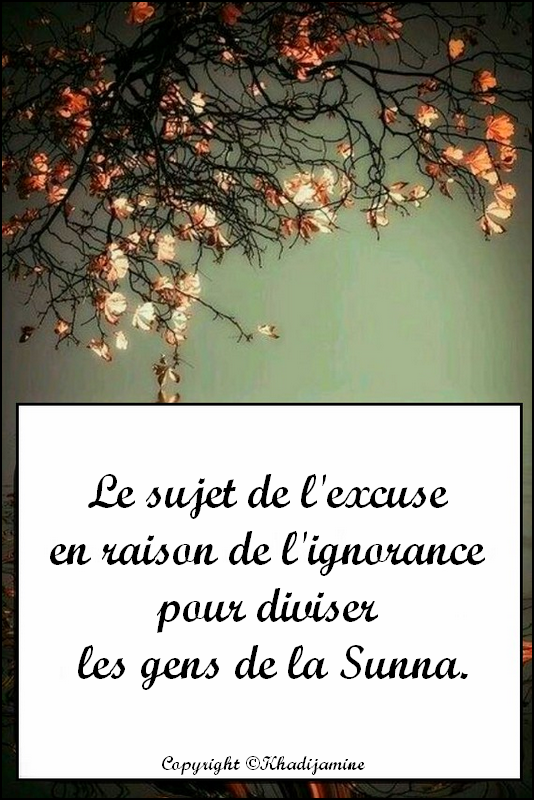 Le sujet de l'excuse en raison de l'ignorance... 2/3