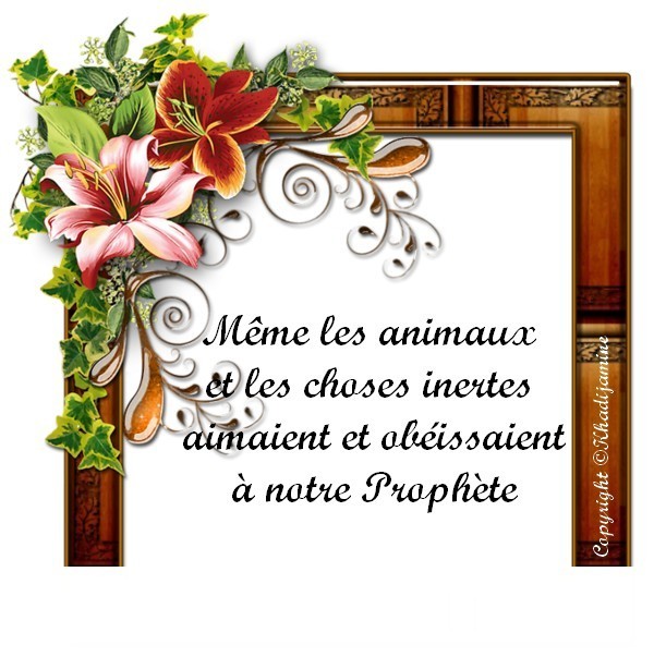 Même les animaux et les choses inertes aimaient... 