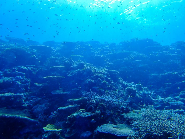 La France s'oppose l'exploitation minière des fonds marins